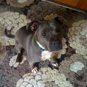 Meet your Posher, Tracy